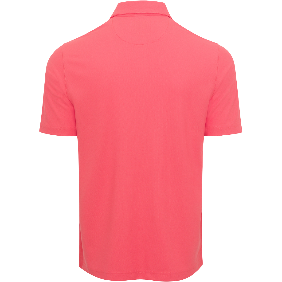 SPICED CORAL || Back