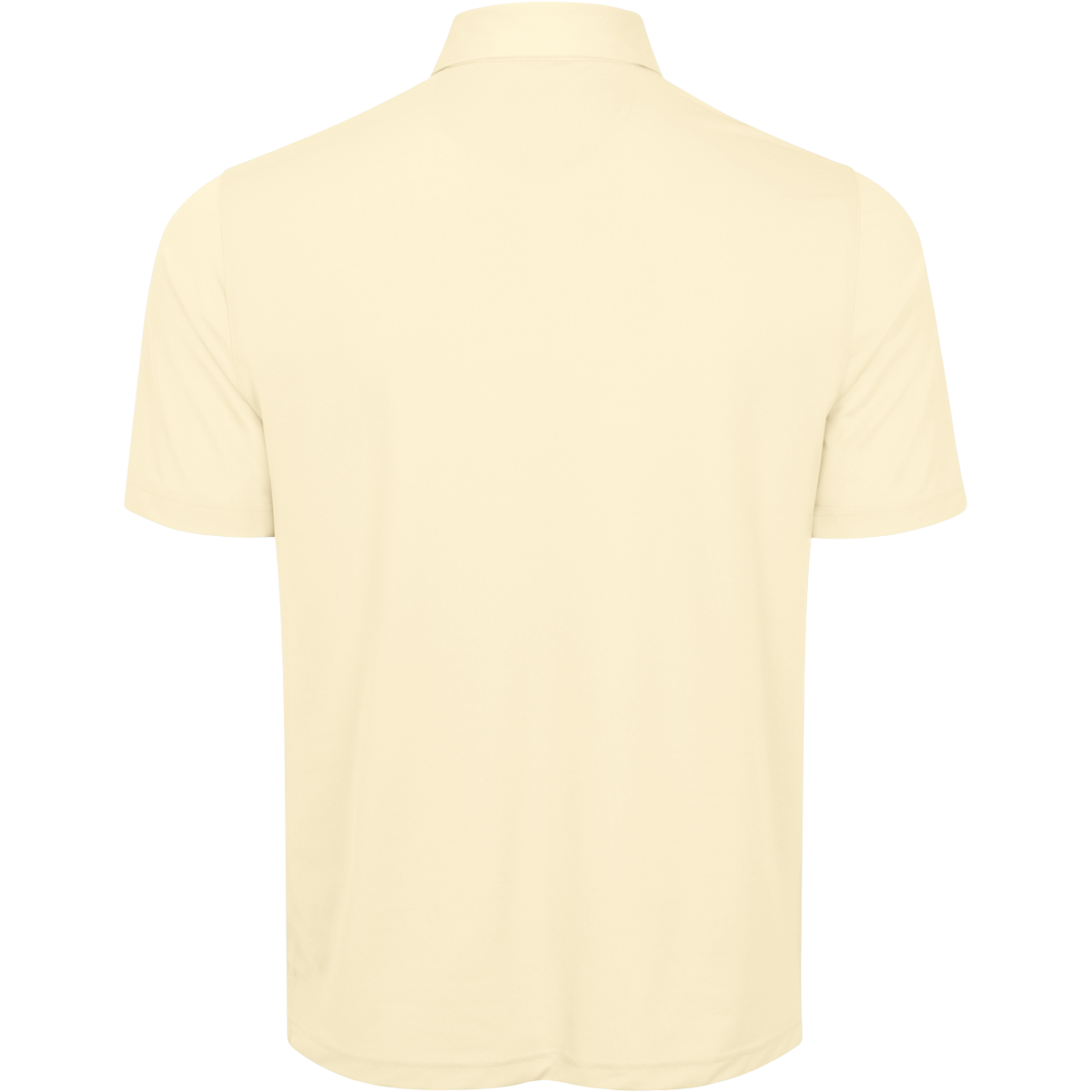 LEMON PALM
