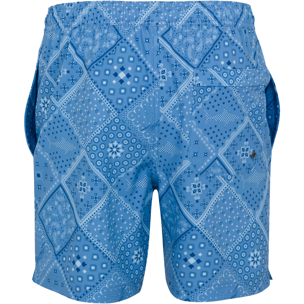 BLUE CLOUD BACK LIFESTYLE INFO
