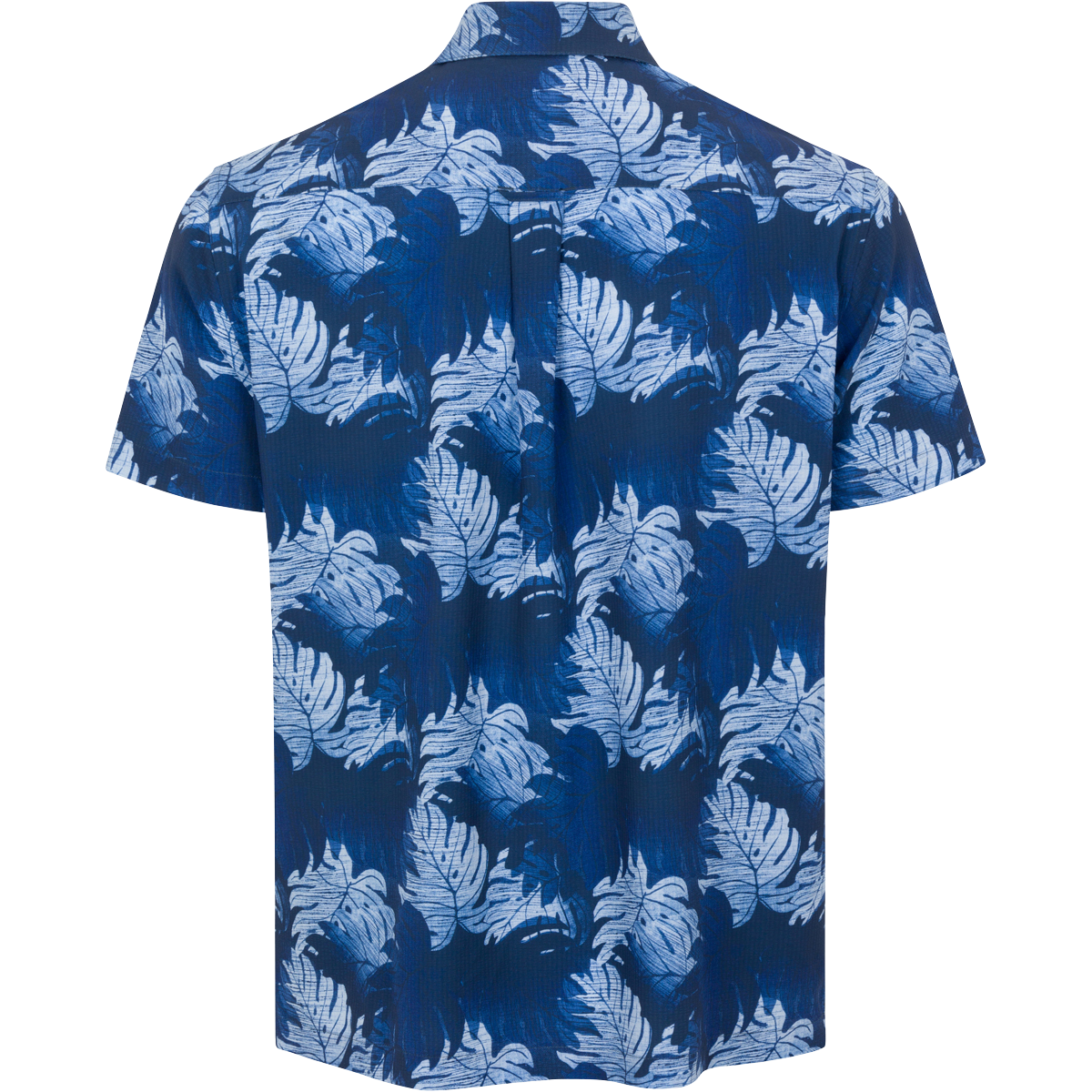 NAVY BACK LIFESTYLE INFO