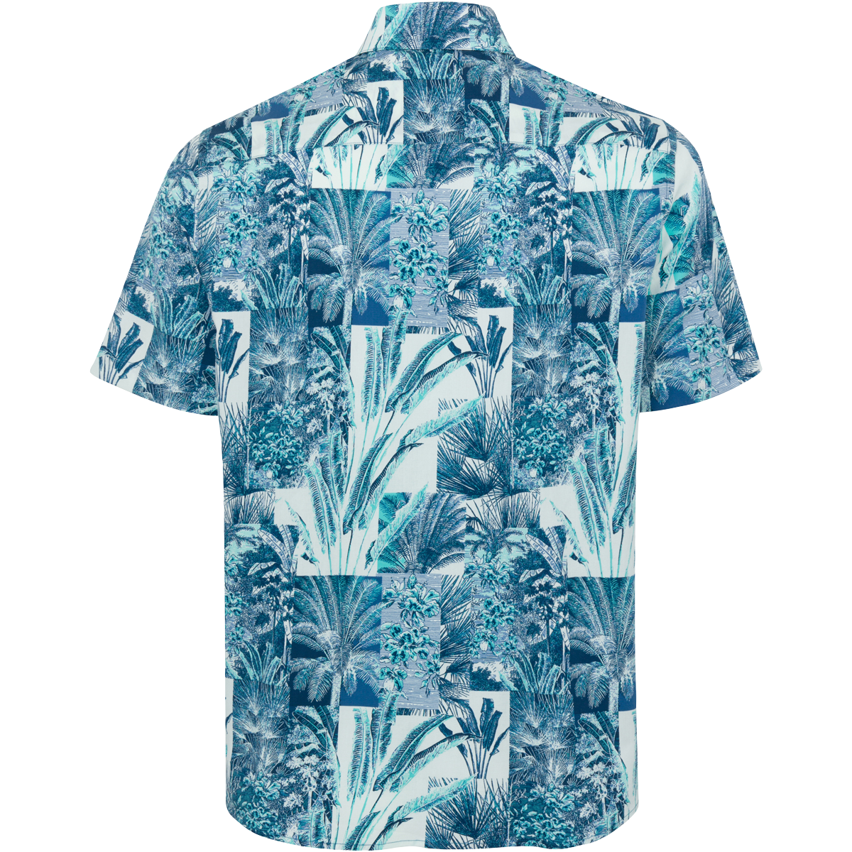 MISTY TURQUOISE BACK LIFESTYLE INFO