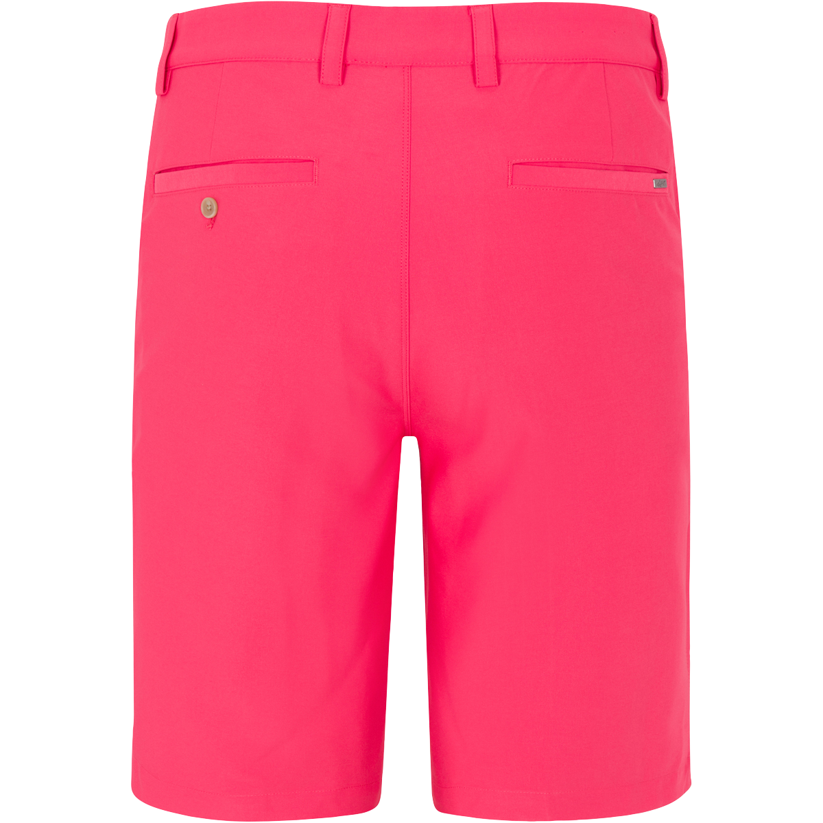 CORAL COVE || Back