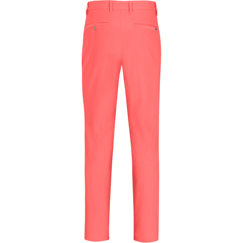 DESERT CORAL