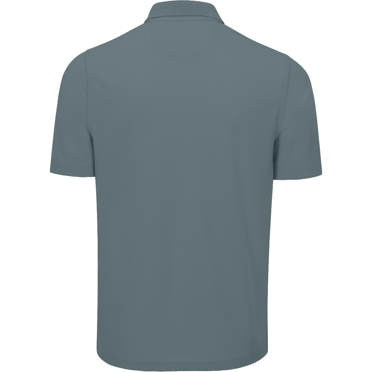 BLUE AGAVE