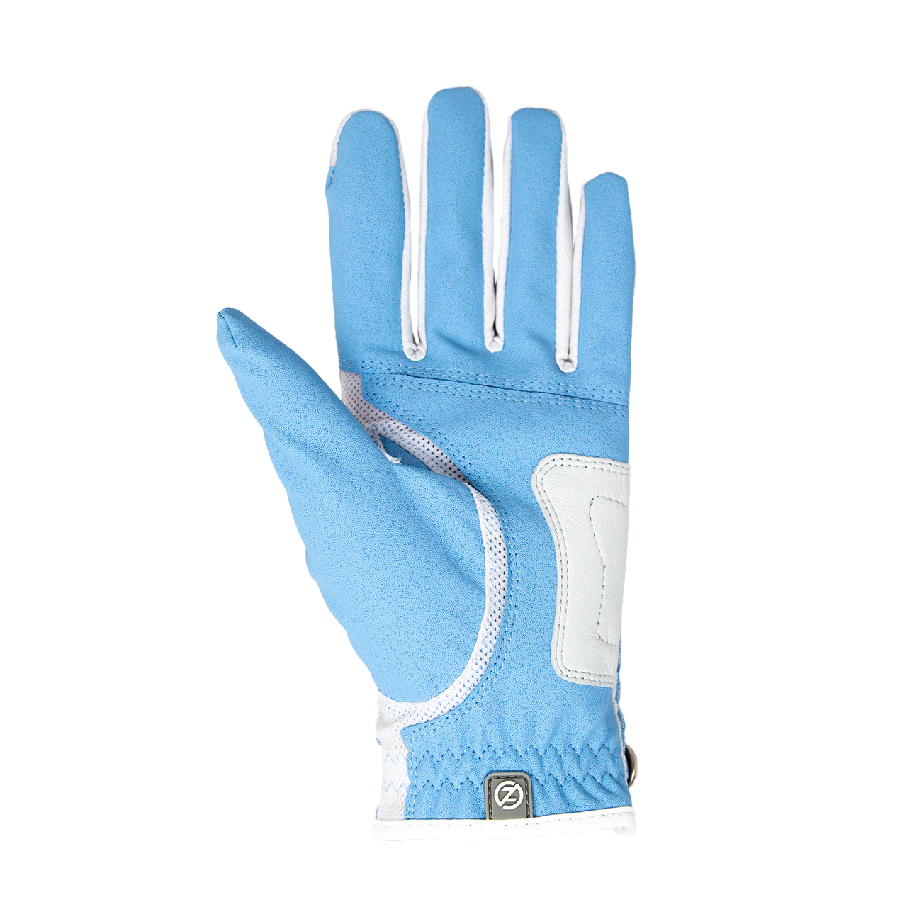 CAROLINA BLUE BACK