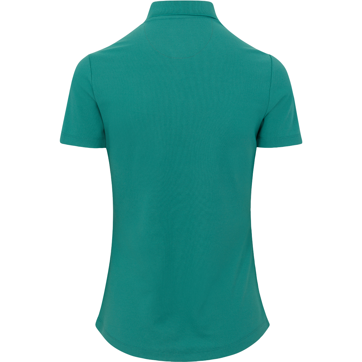 GREEN GARDEN || Back