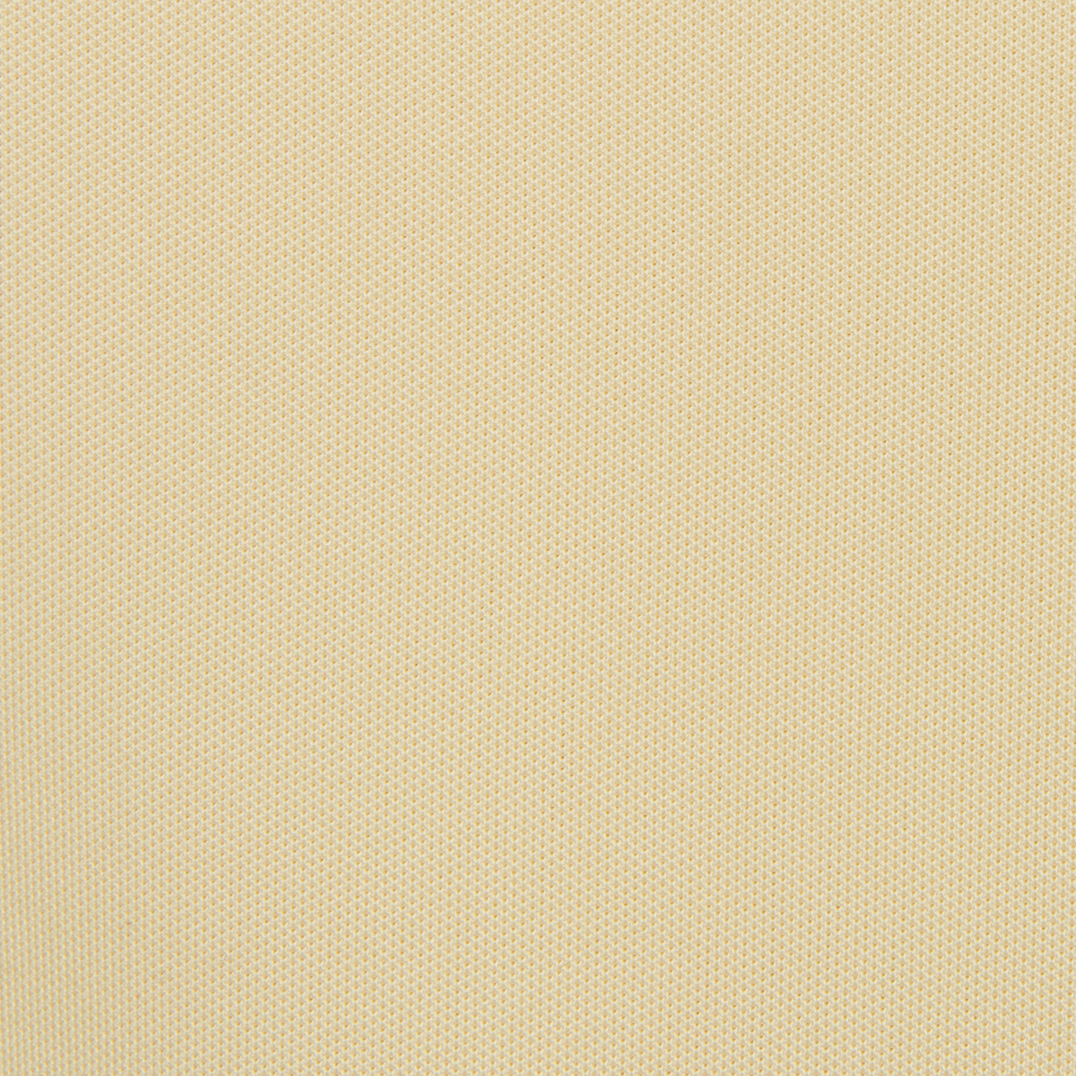LEMON PALM SWATCH LIFESTYLE INFO