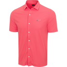 SPICED CORAL