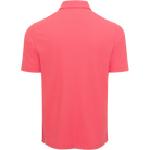 SPICED CORAL || Back