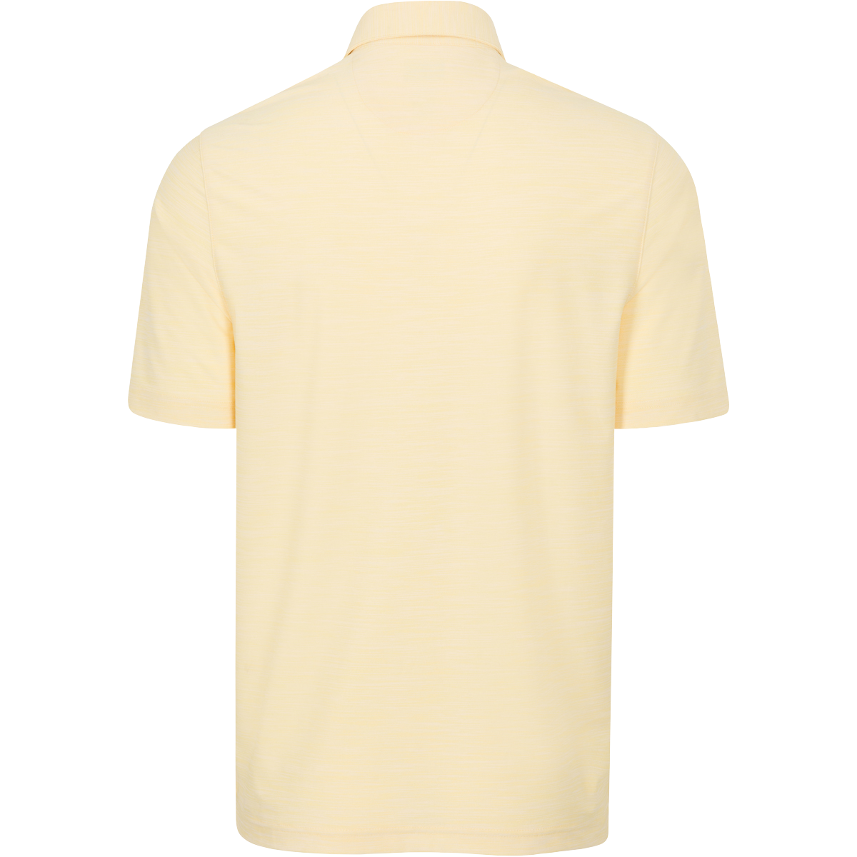 LEMON PALM HEATHER