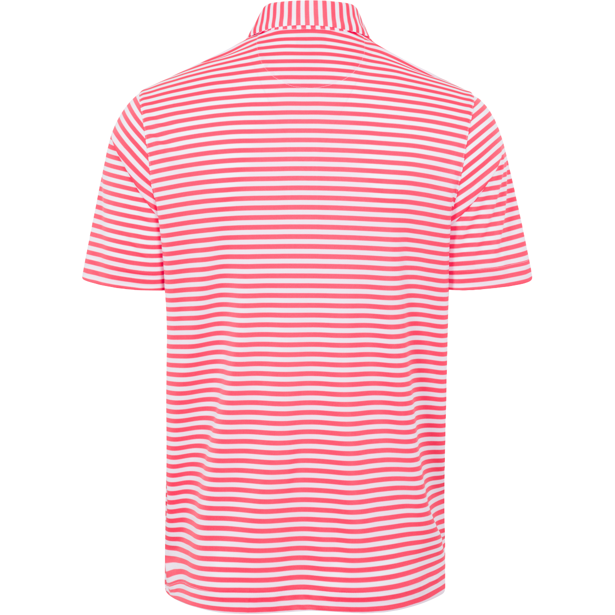 CORAL COVE/WHITE