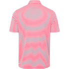 CORAL COVE/WHITE