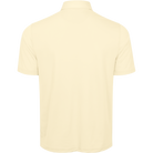 LEMON PALM