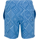 BLUE CLOUD BACK LIFESTYLE INFO