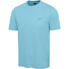 ICE BLUE