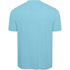 ICE BLUE