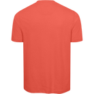 SPICED CORAL