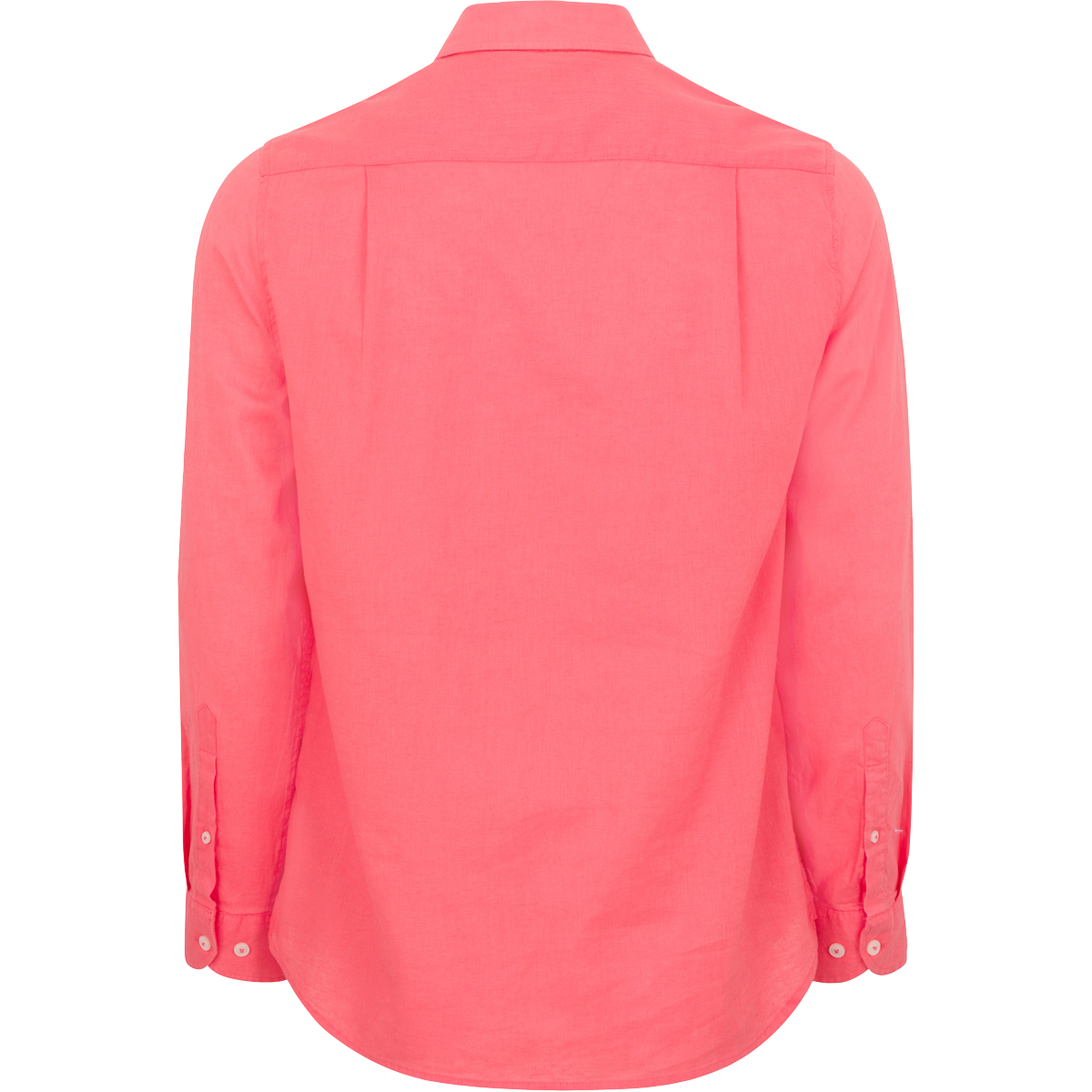 SPICED CORAL BACK LIFESTYLE INFO