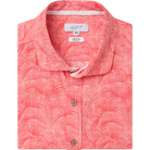 SPICED CORAL