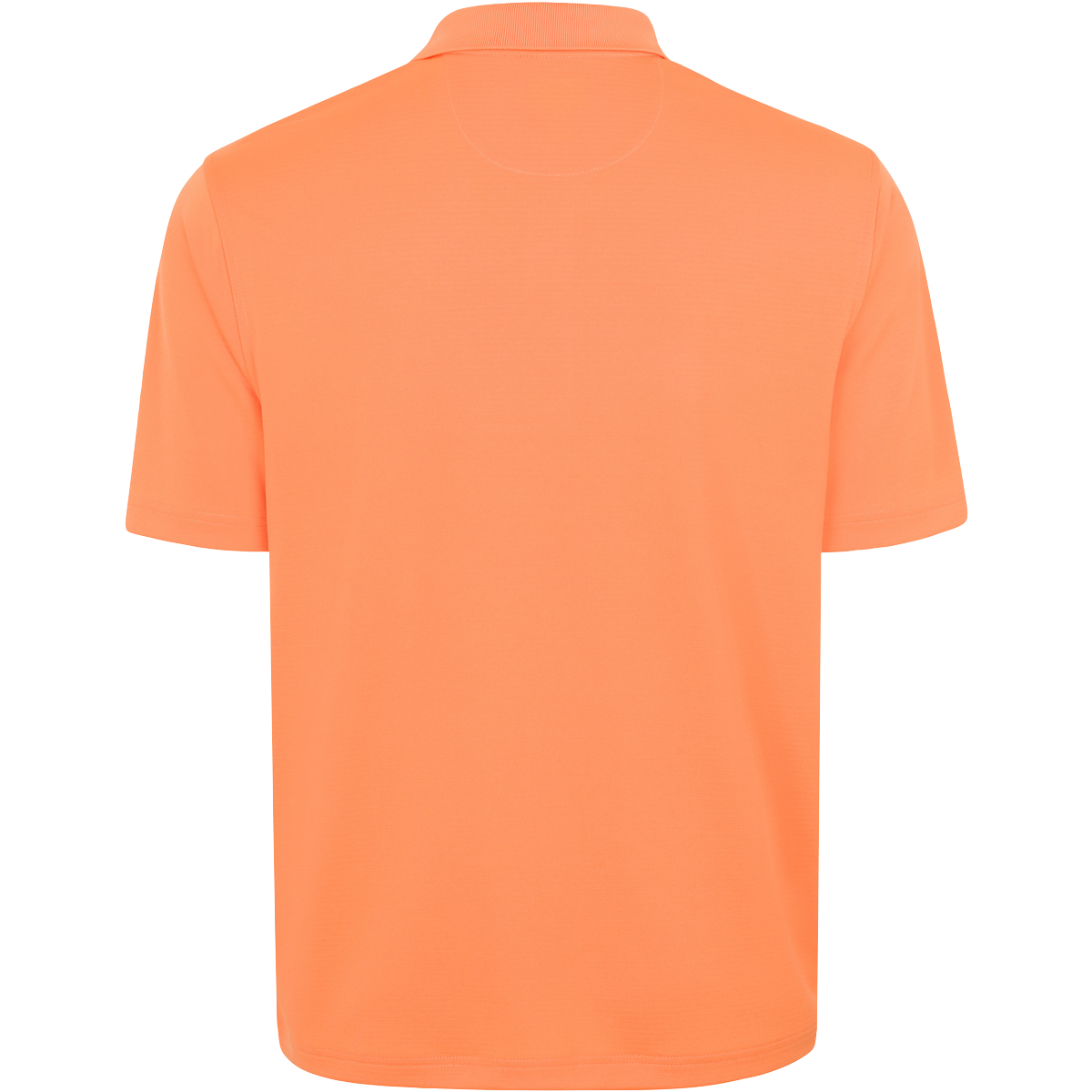 TANGERINE BACK LIFESTYLE INFO