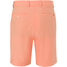 CANTALOUPE
