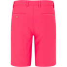 CORAL COVE || Back