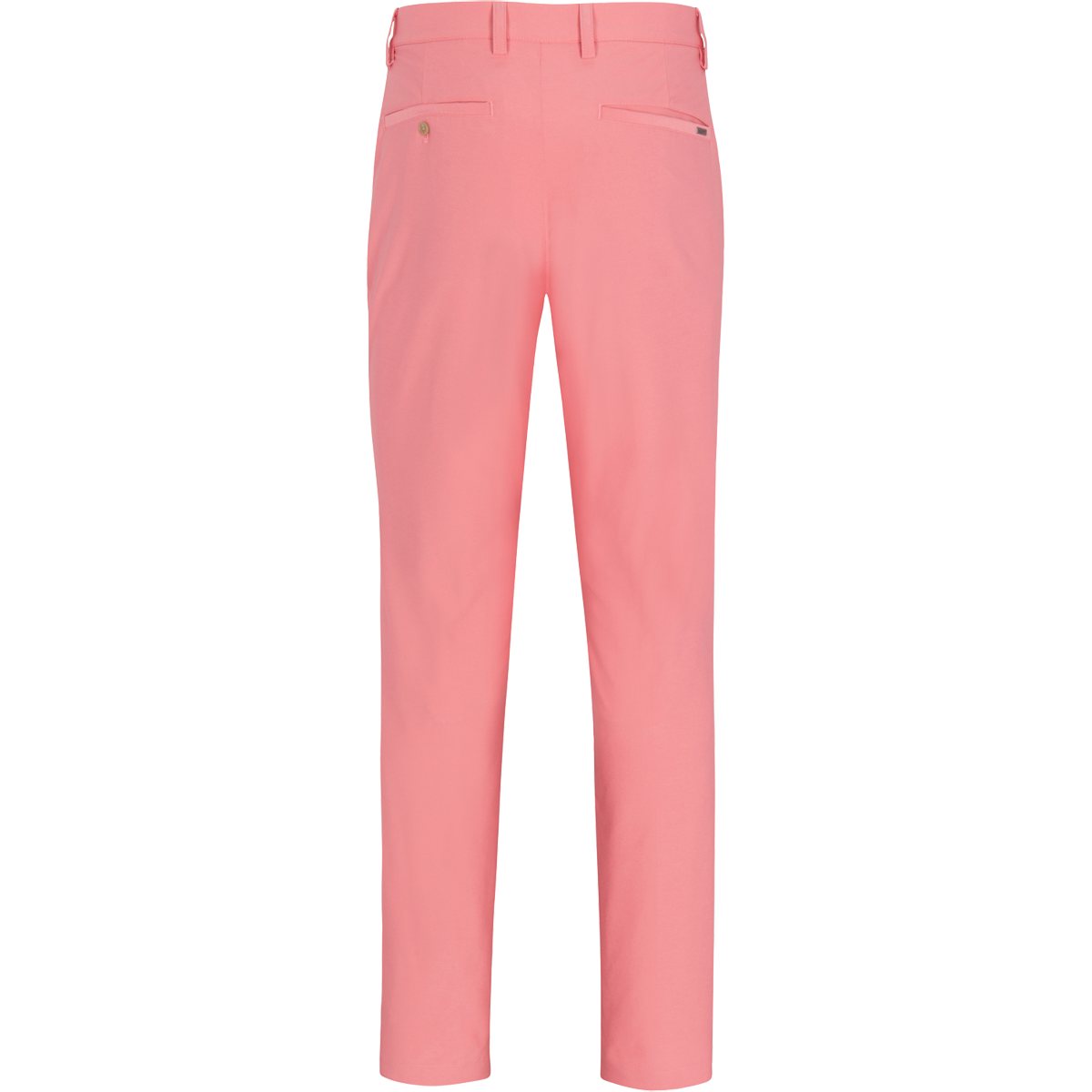 HARBOR CORAL