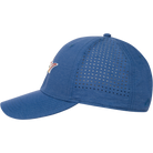 BLUE HEATHER